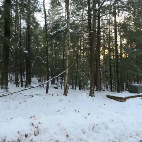 Lot 67 Sandwich Slopes Road Sandwich NH 03227