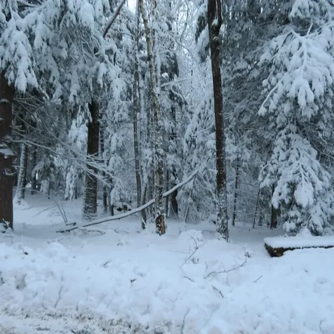 Lot 67 Sandwich Slopes Road Sandwich NH 03227