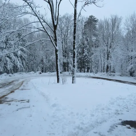 Lot 67 Sandwich Slopes Road Sandwich NH 03227