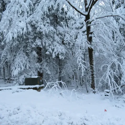 Lot 67 Sandwich Slopes Road Sandwich NH 03227