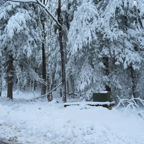 Lot 67 Sandwich Slopes Road Sandwich NH 03227