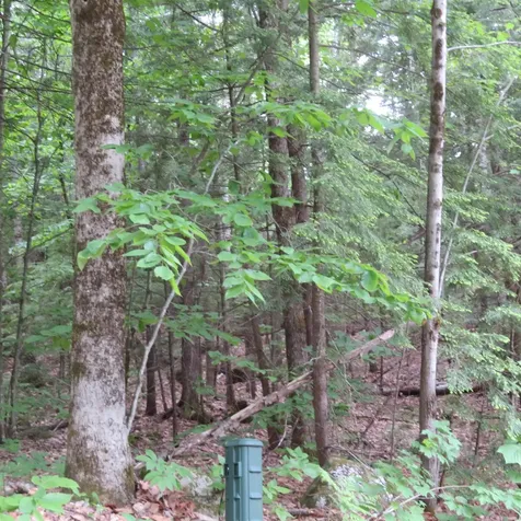 Lot 67 Sandwich Slopes Road Sandwich NH 03227