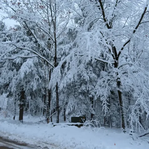 Lot 67 Sandwich Slopes Road Sandwich NH 03227