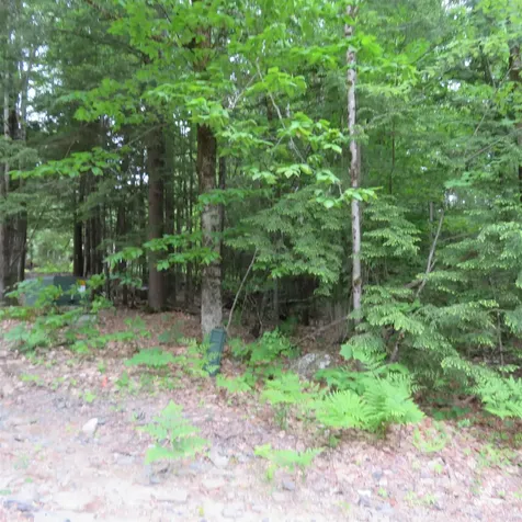 Lot 67 Sandwich Slopes Road Sandwich NH 03227