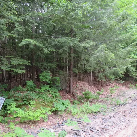 Lot 67 Sandwich Slopes Road Sandwich NH 03227