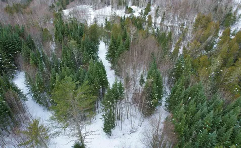 00 Oneida Road Danville VT 05828