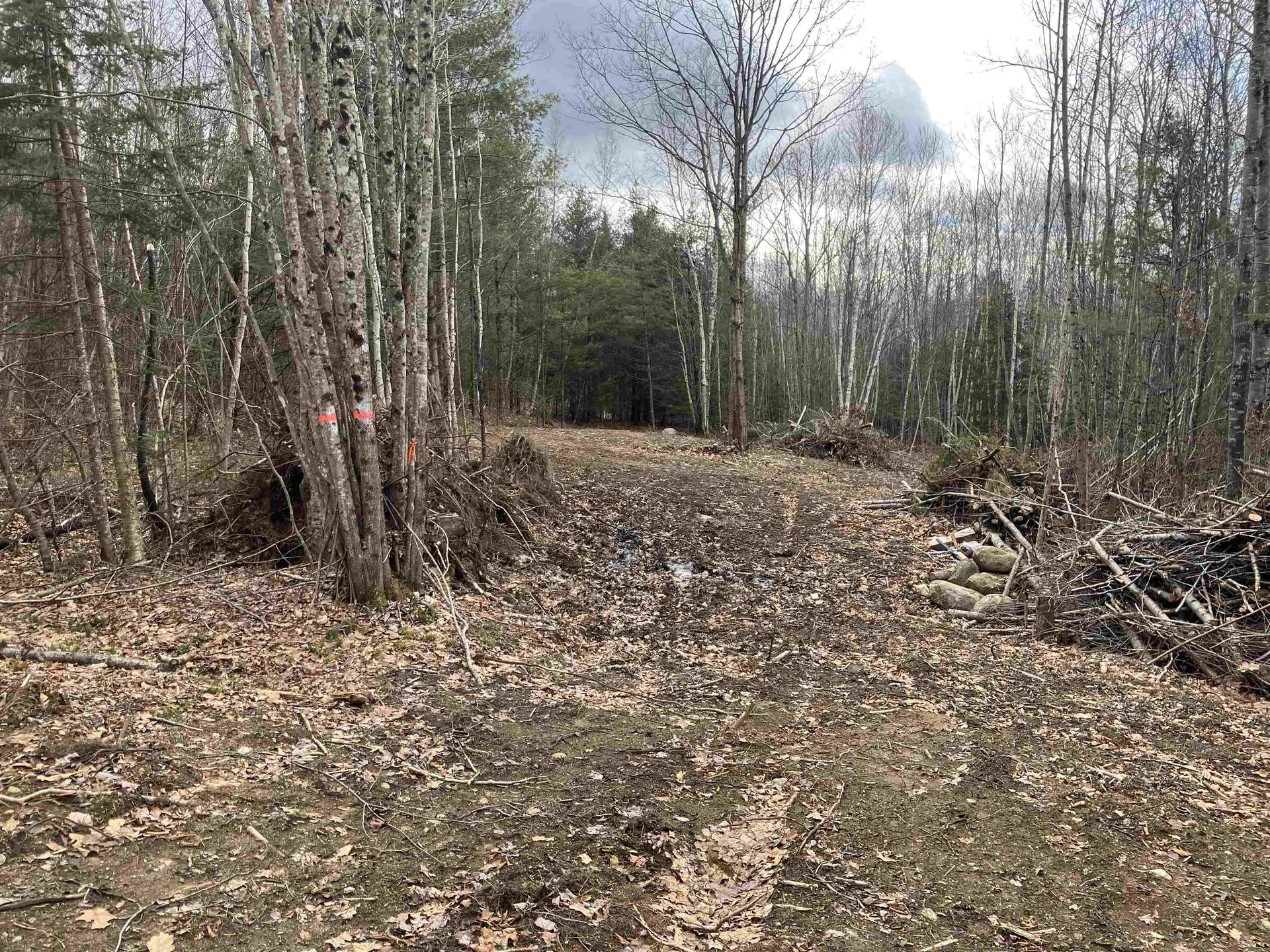 0 Foliage View Drive Canaan NH 03741