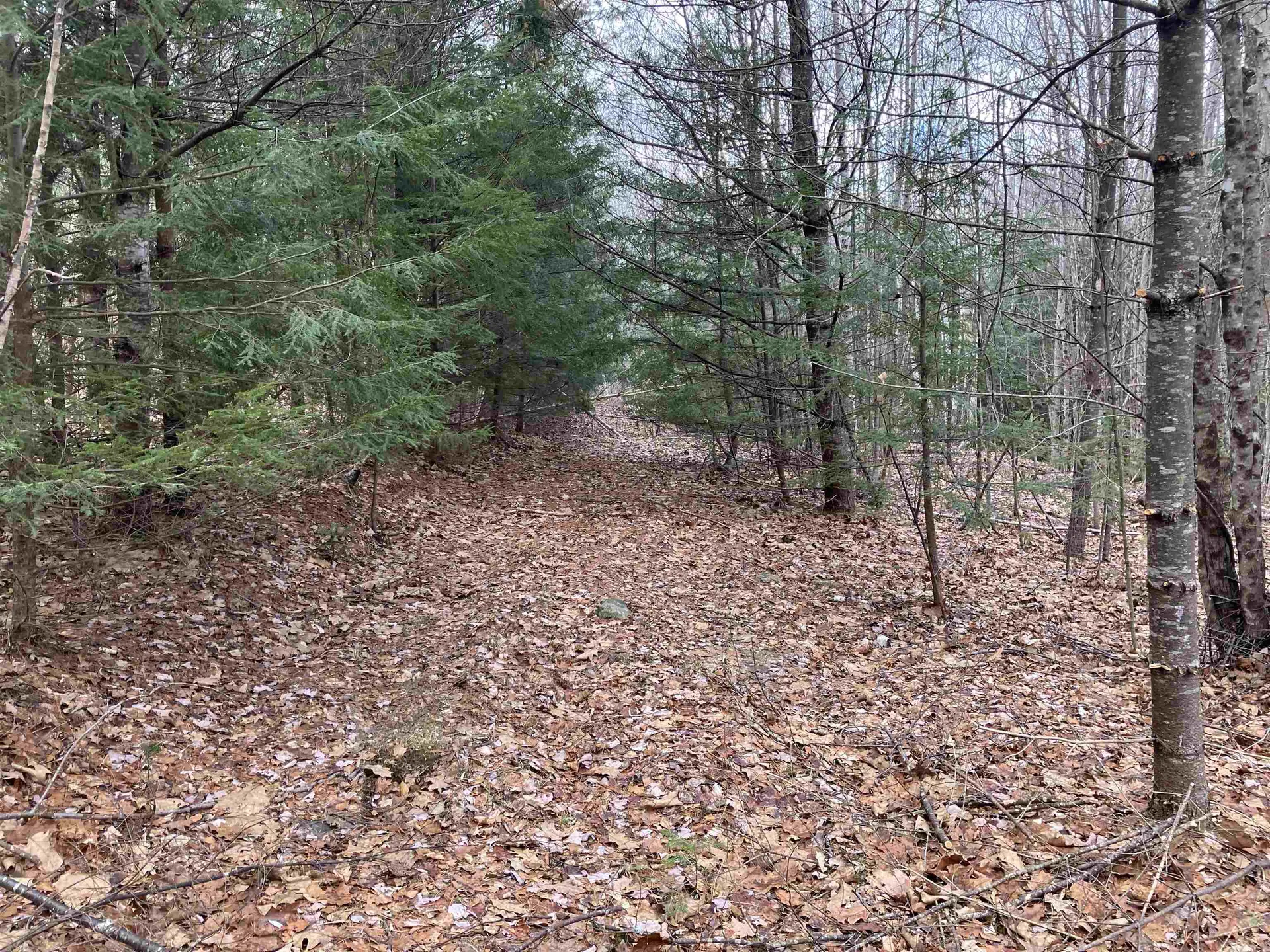 0 Foliage View Drive Canaan NH 03741