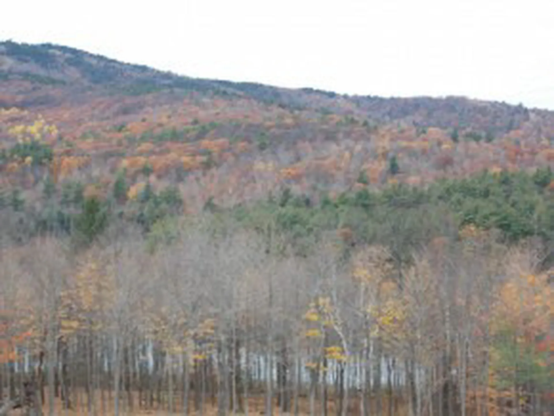991 Cherry Valley Road Gilford NH 03249