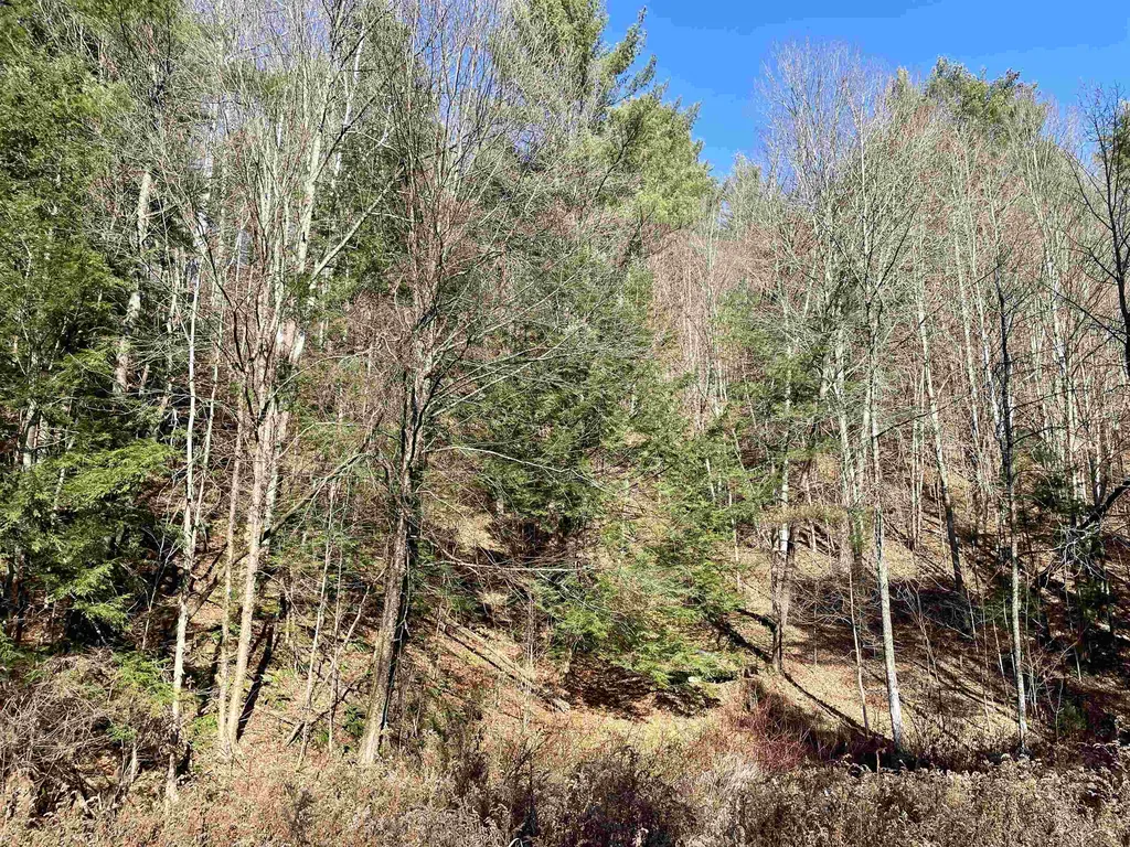 156 Jenneville Road Hartland VT 05048