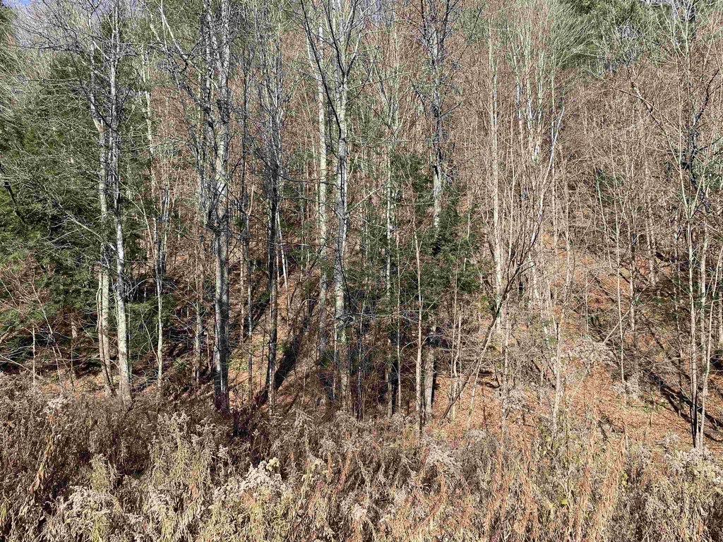 156 Jenneville Road Hartland VT 05048