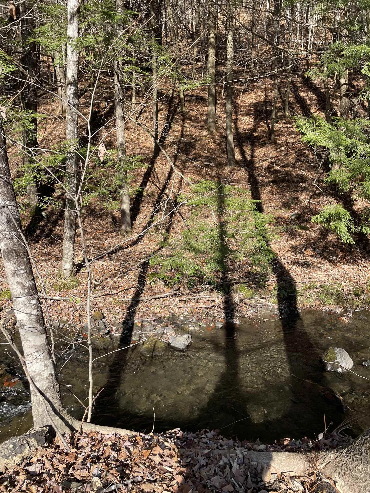 156 Jenneville Road Hartland VT 05048