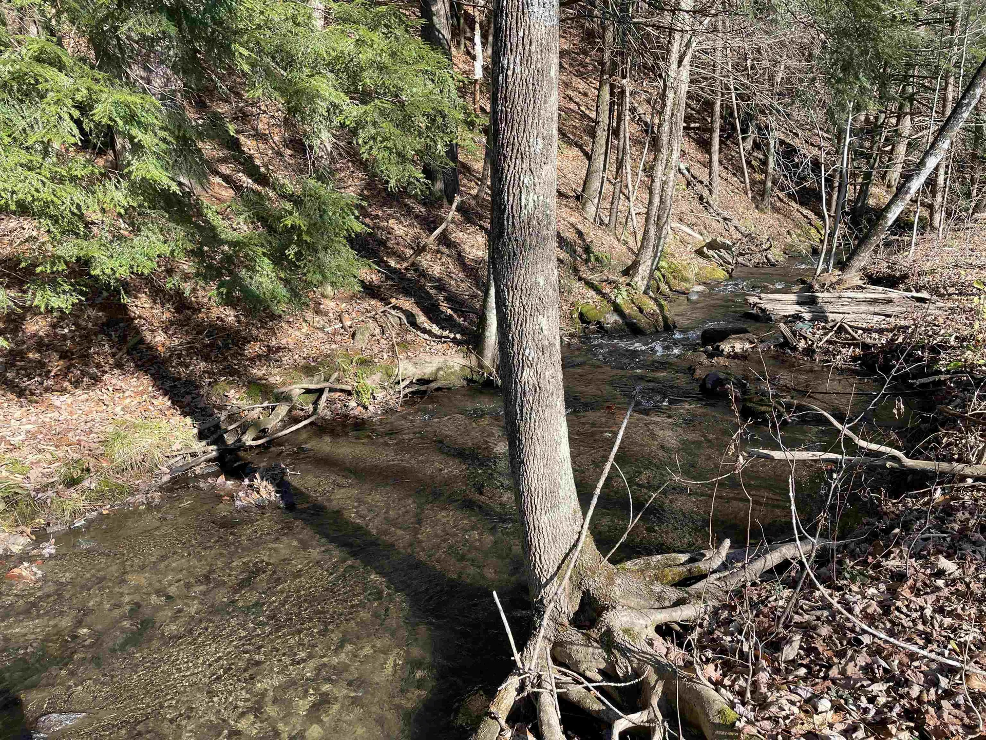 156 Jenneville Road Hartland VT 05048