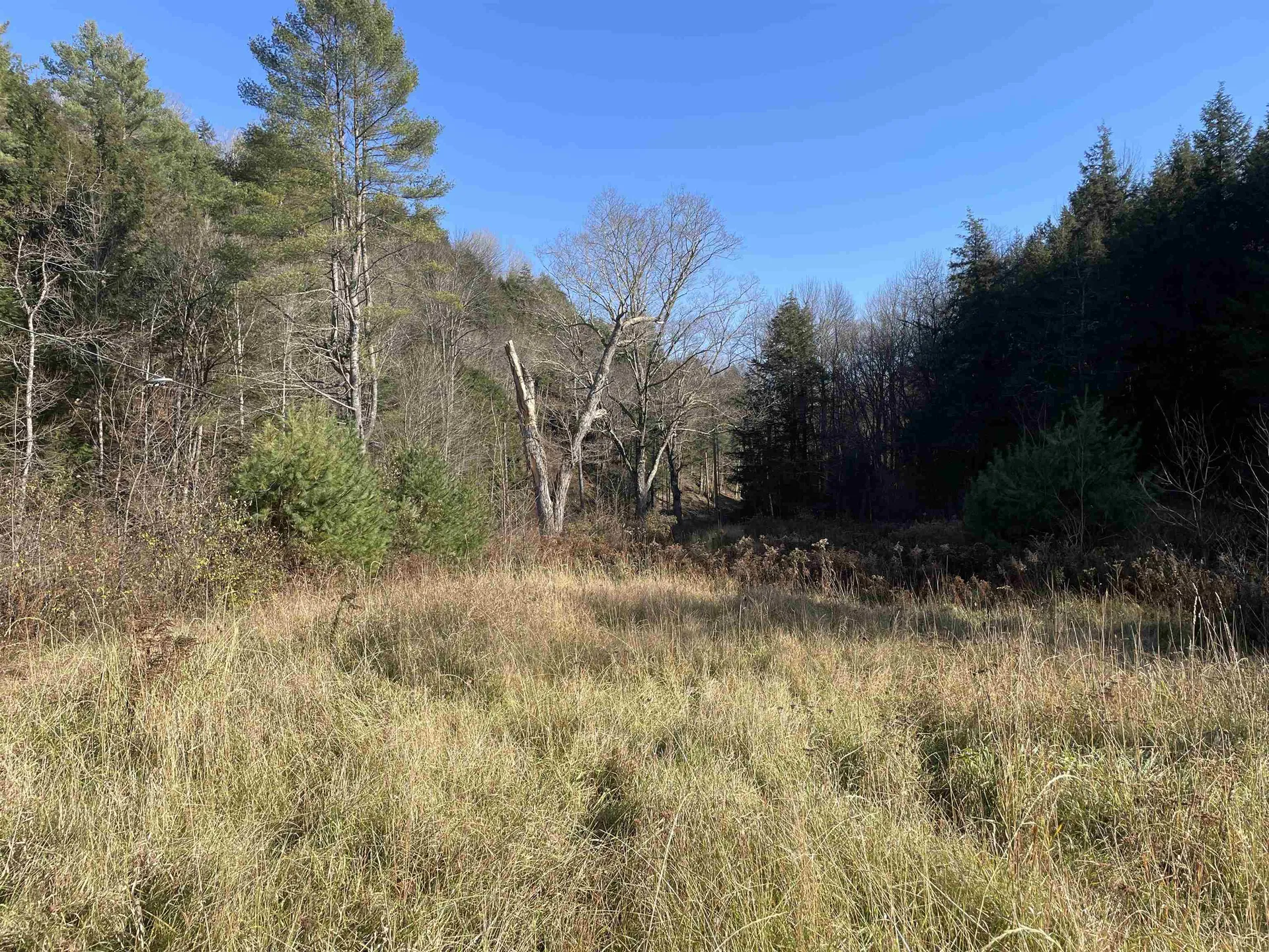 156 Jenneville Road Hartland VT 05048