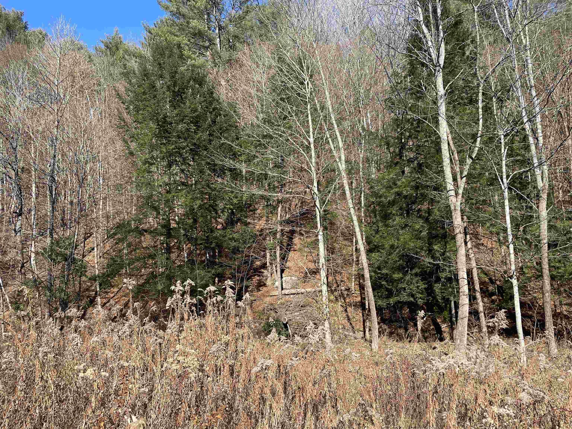 156 Jenneville Road Hartland VT 05048