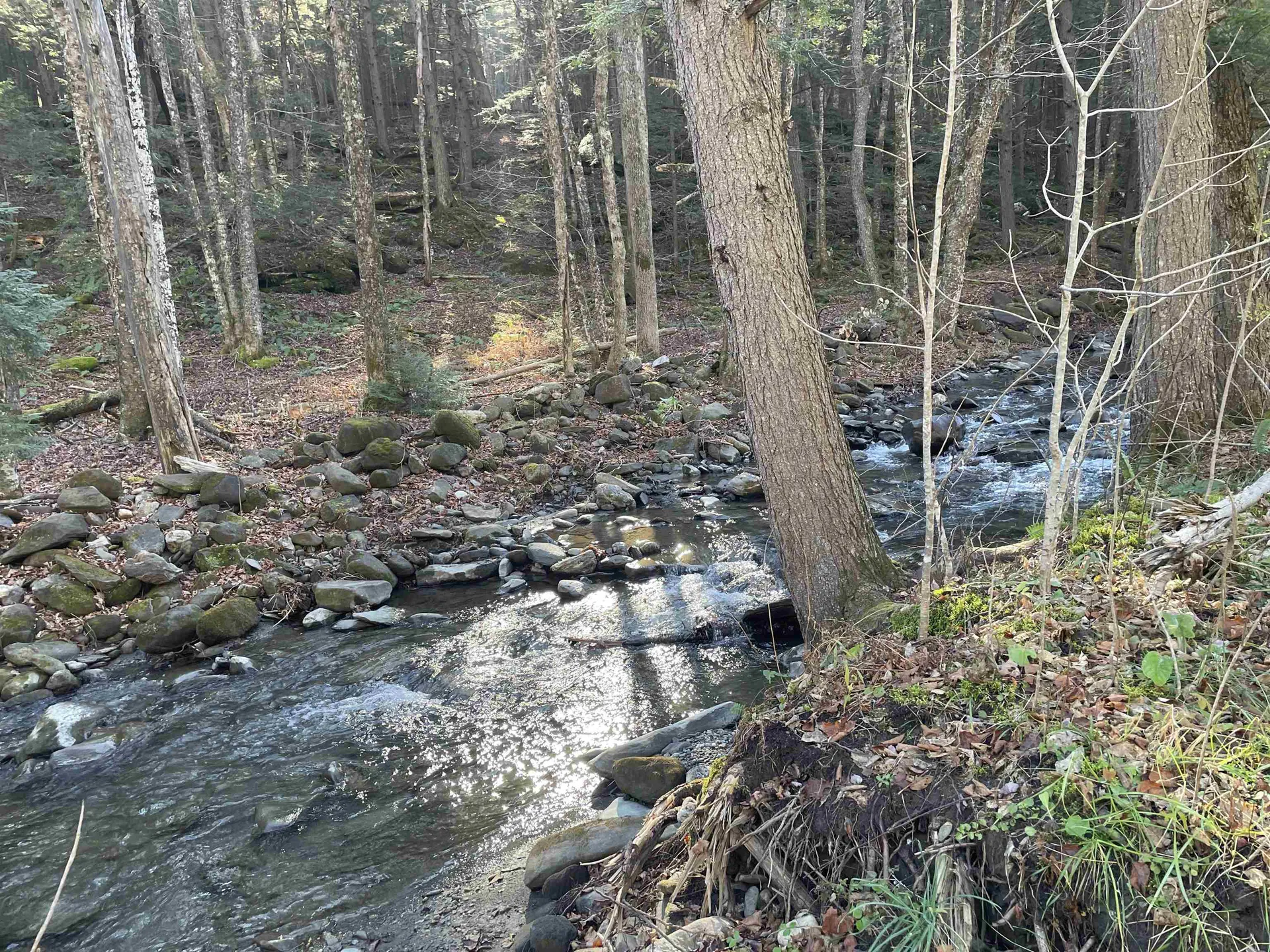 156 Jenneville Road Hartland VT 05048