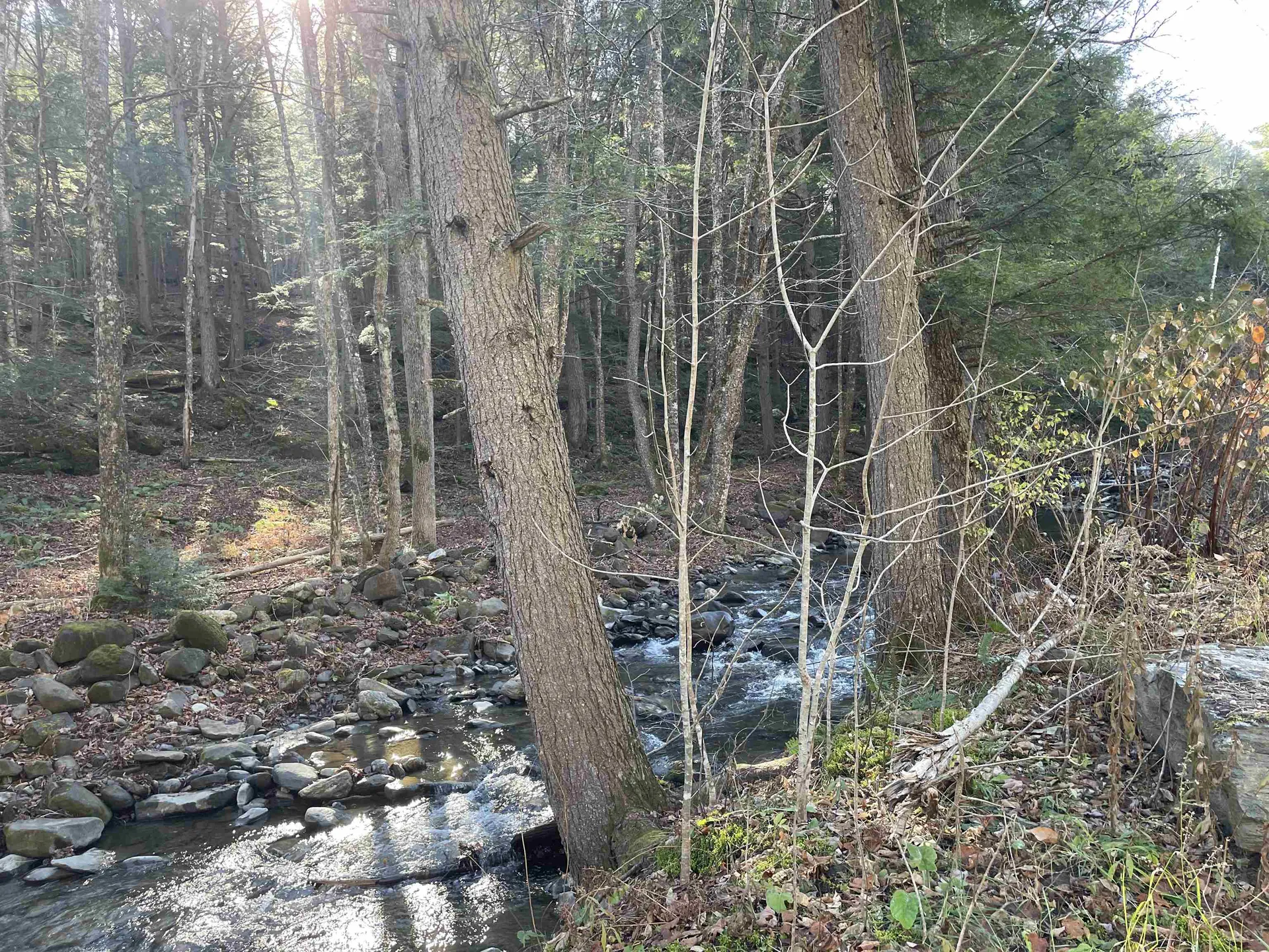 156 Jenneville Road Hartland VT 05048