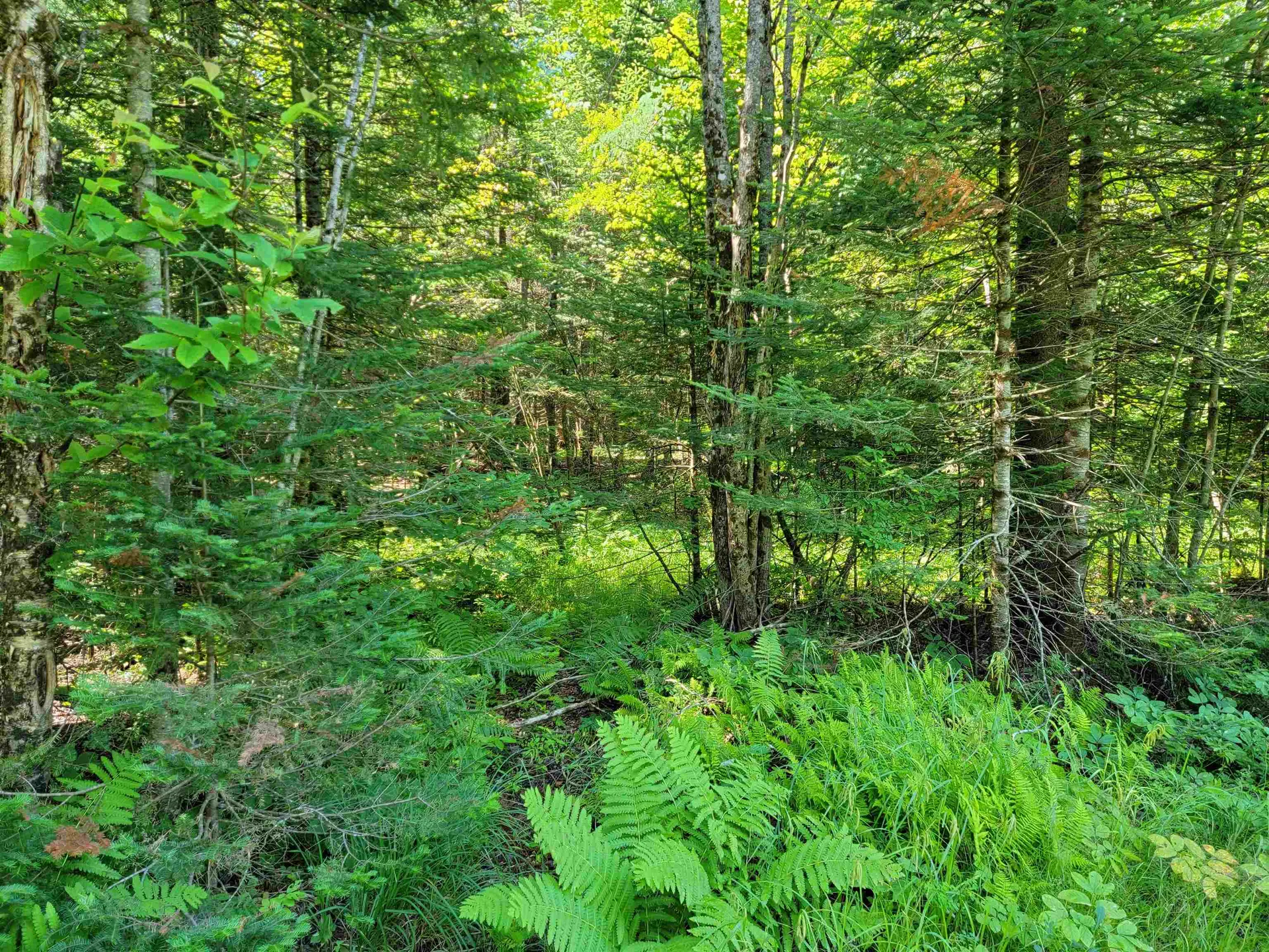 Christie Road Stratford NH 03590