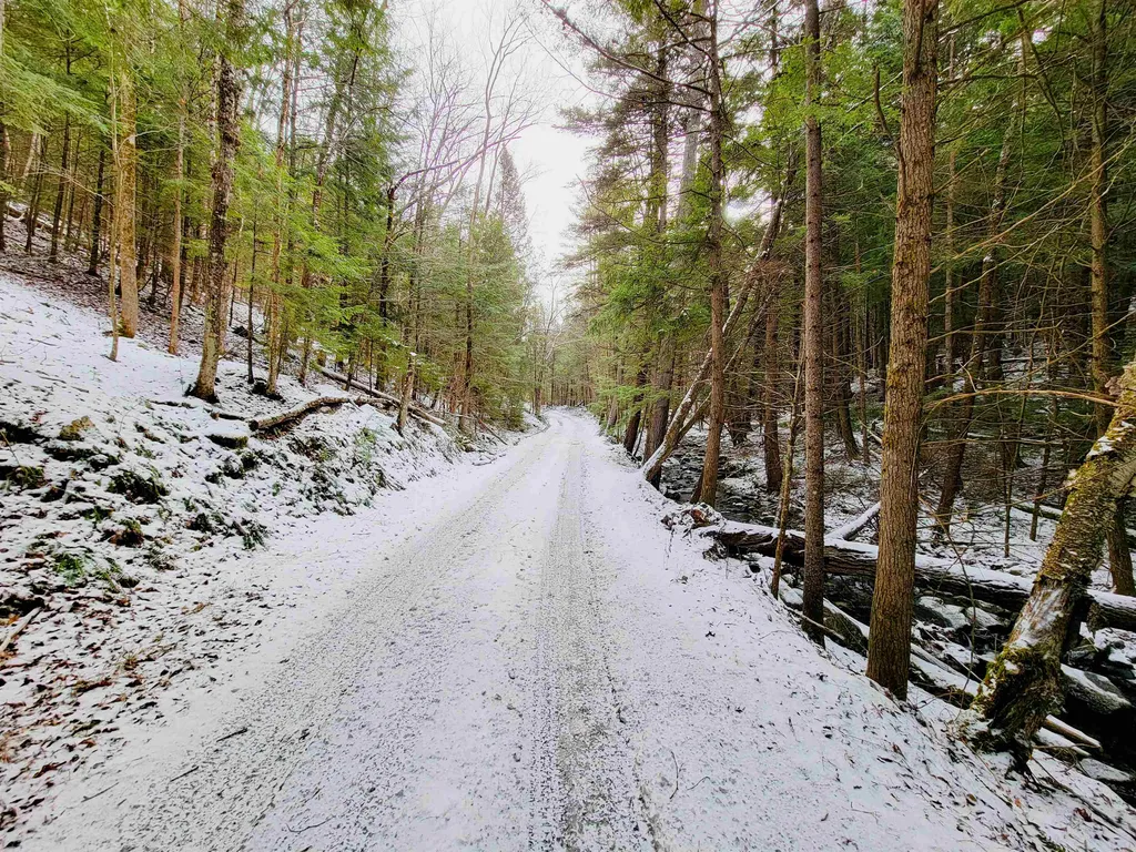 160 Cross Road Piermont NH 03779