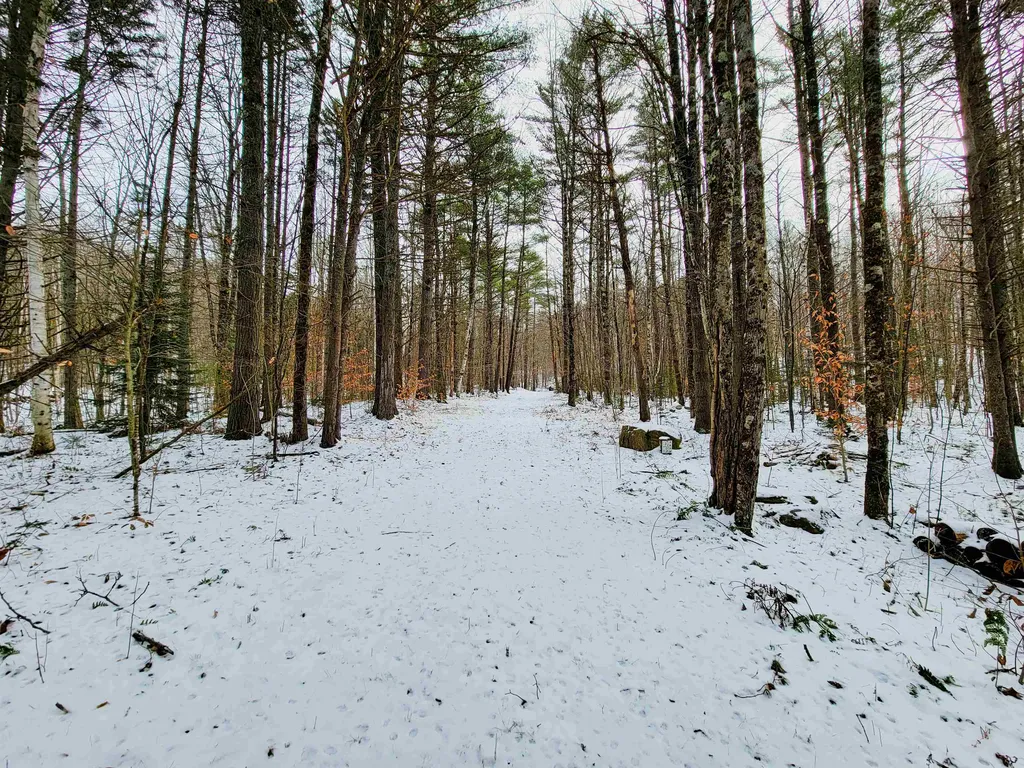 160 Cross Road Piermont NH 03779