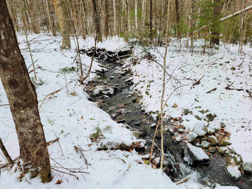 160 Cross Road Piermont NH 03779