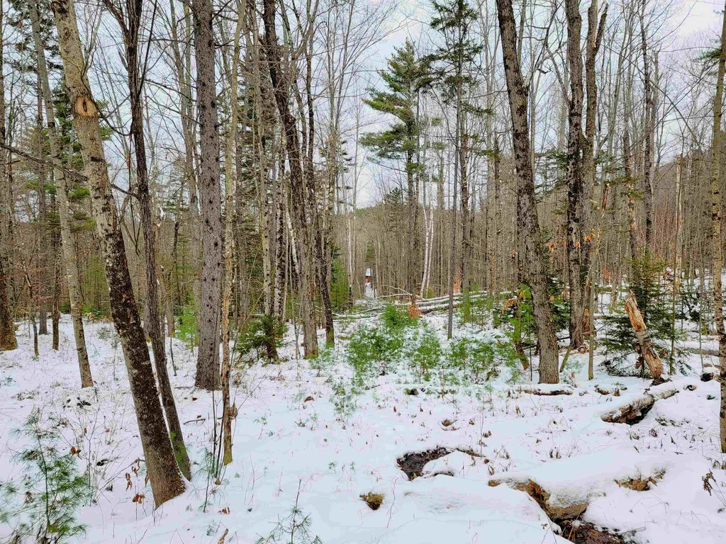 160 Cross Road Piermont NH 03779