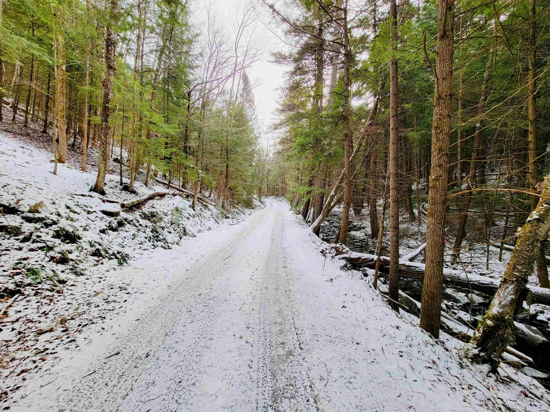160 Cross Road Piermont NH 03779