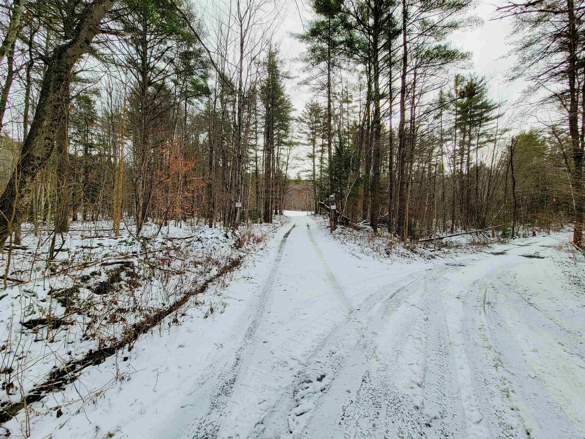 160 Cross Road Piermont NH 03779