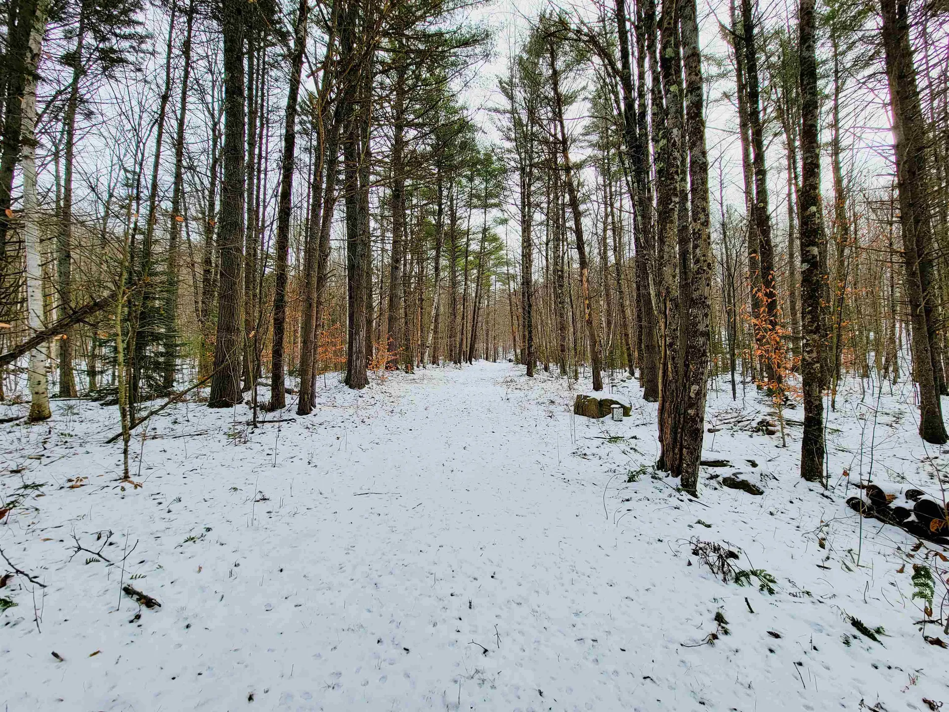 160 Cross Road Piermont NH 03779