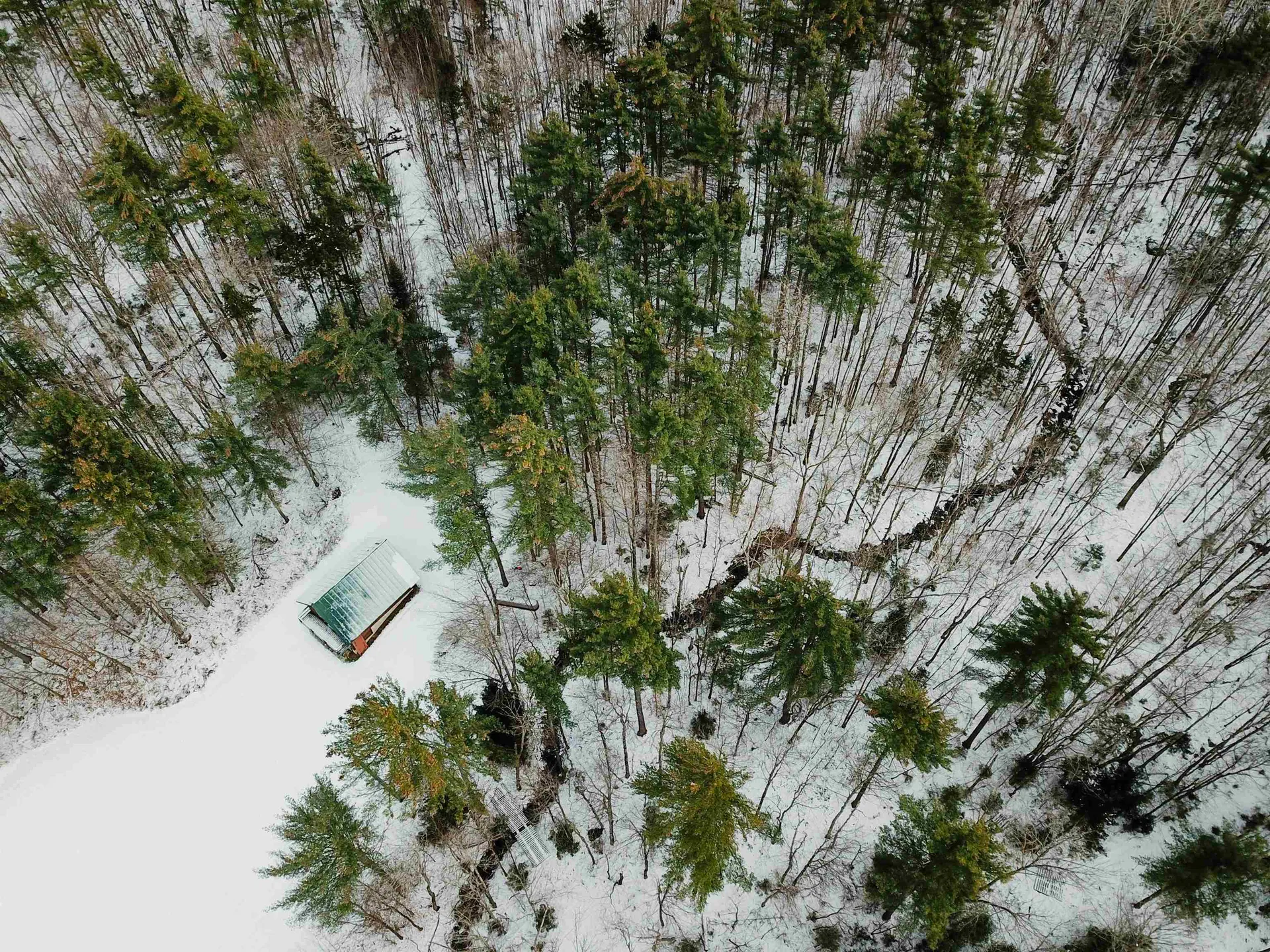 160 Cross Road Piermont NH 03779