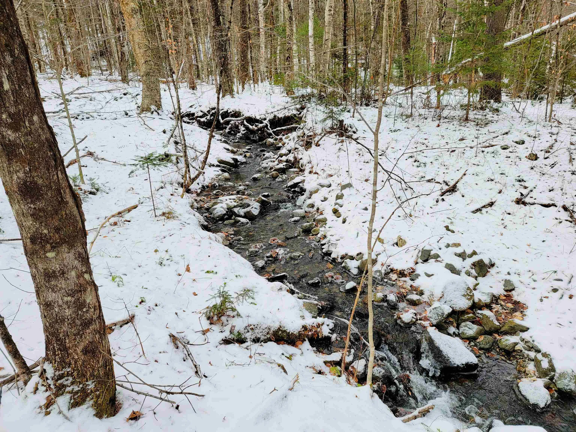 160 Cross Road Piermont NH 03779
