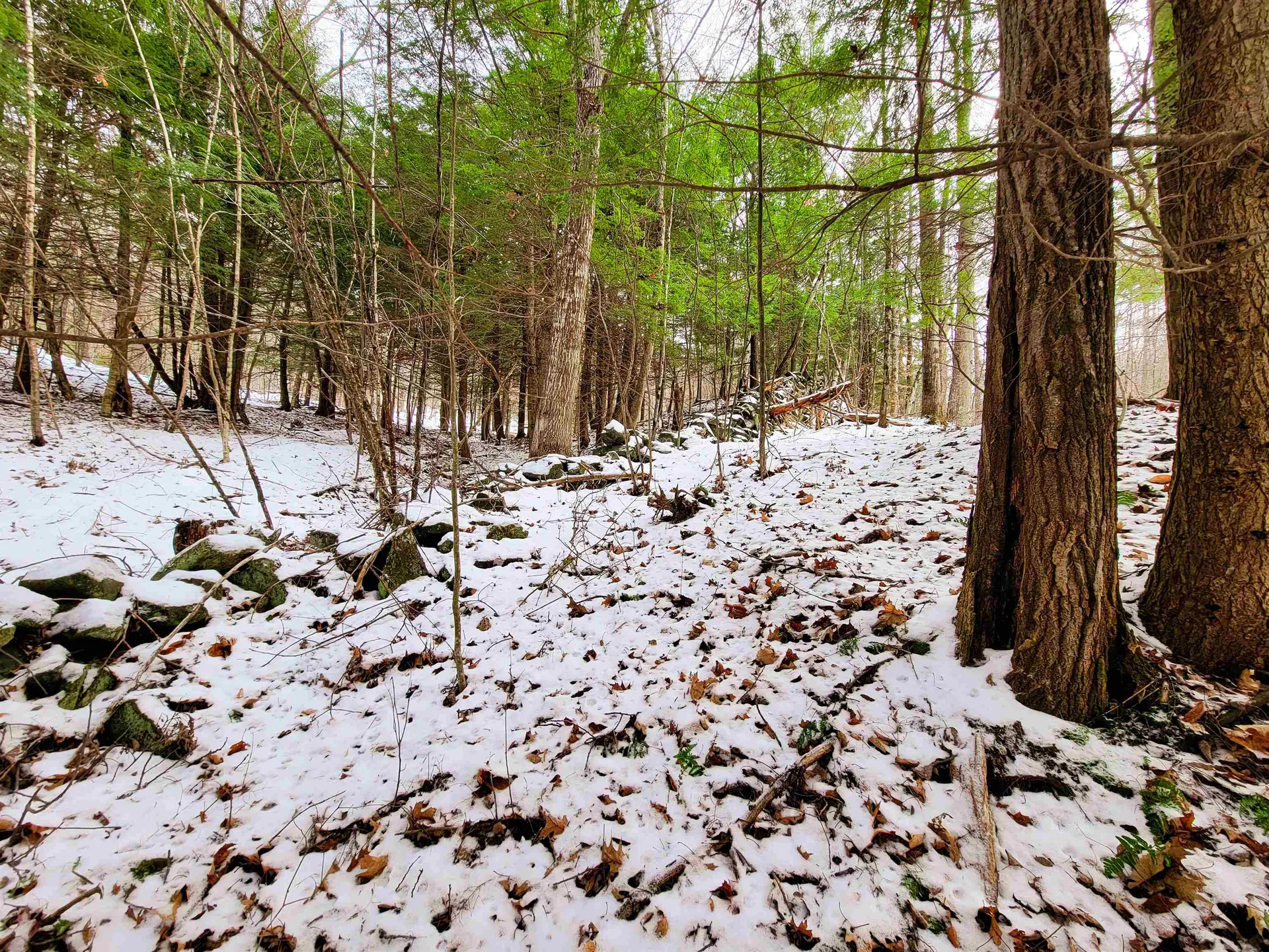 160 Cross Road Piermont NH 03779
