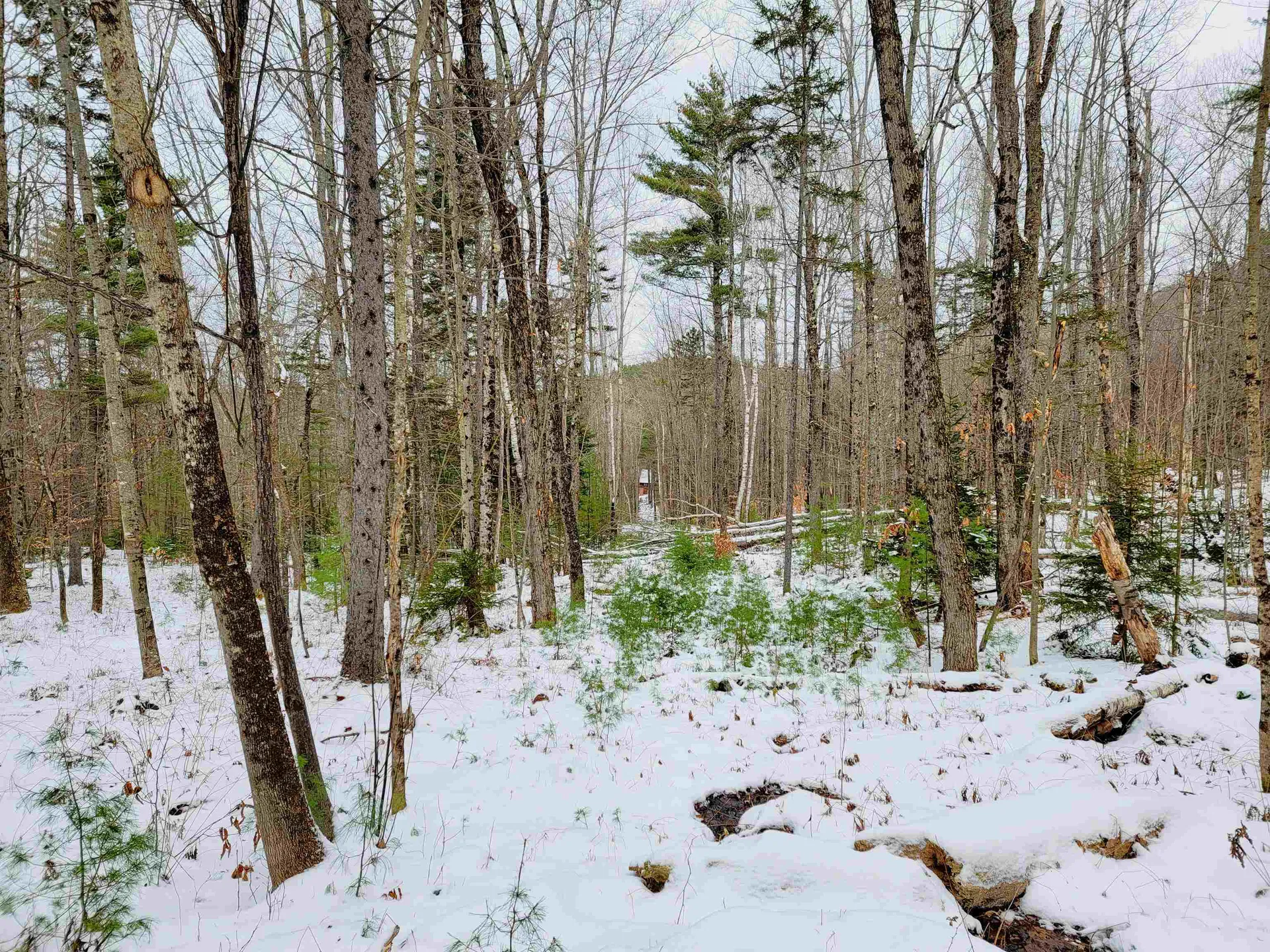 160 Cross Road Piermont NH 03779