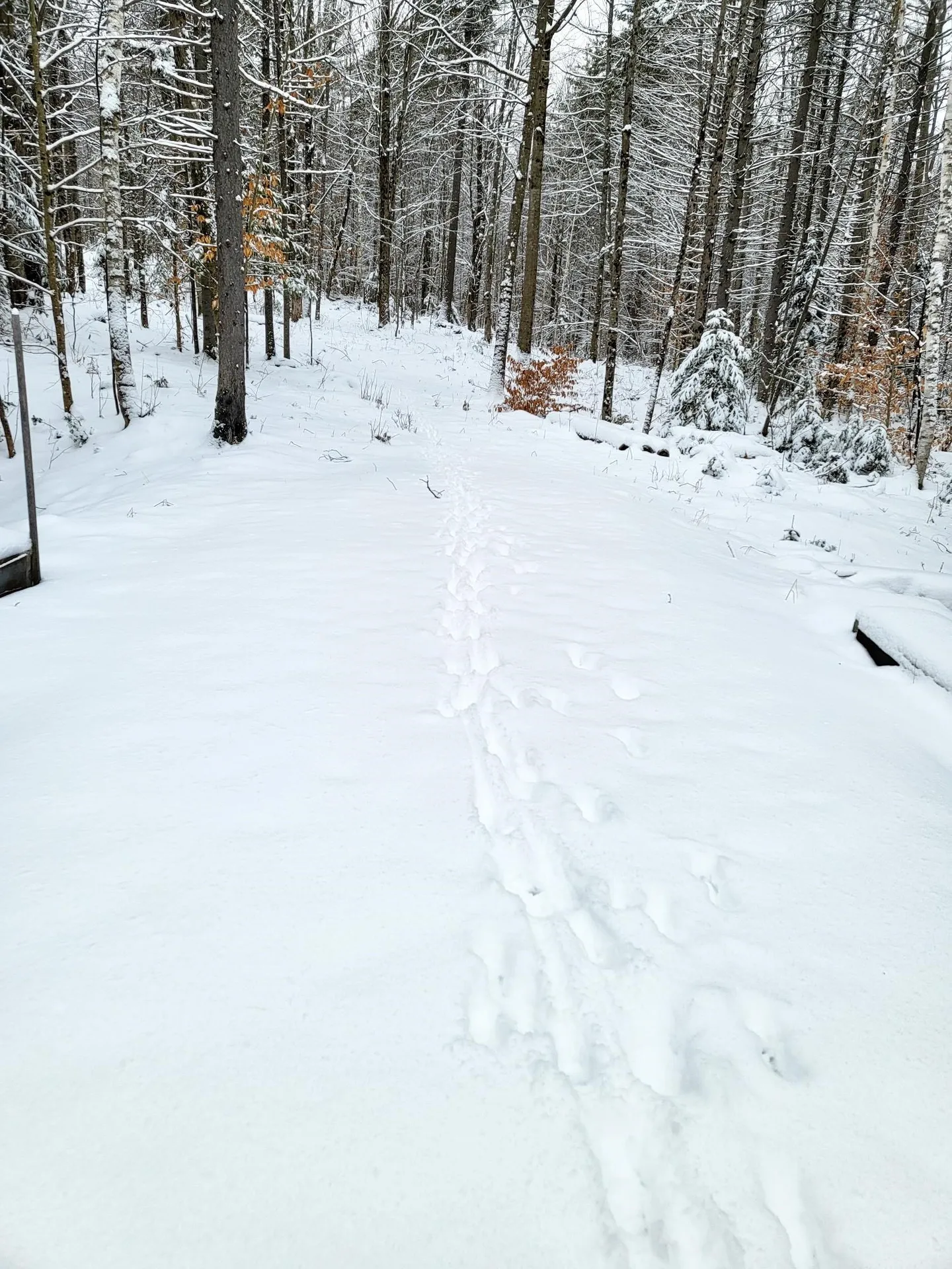 160 Cross Road Piermont NH 03779