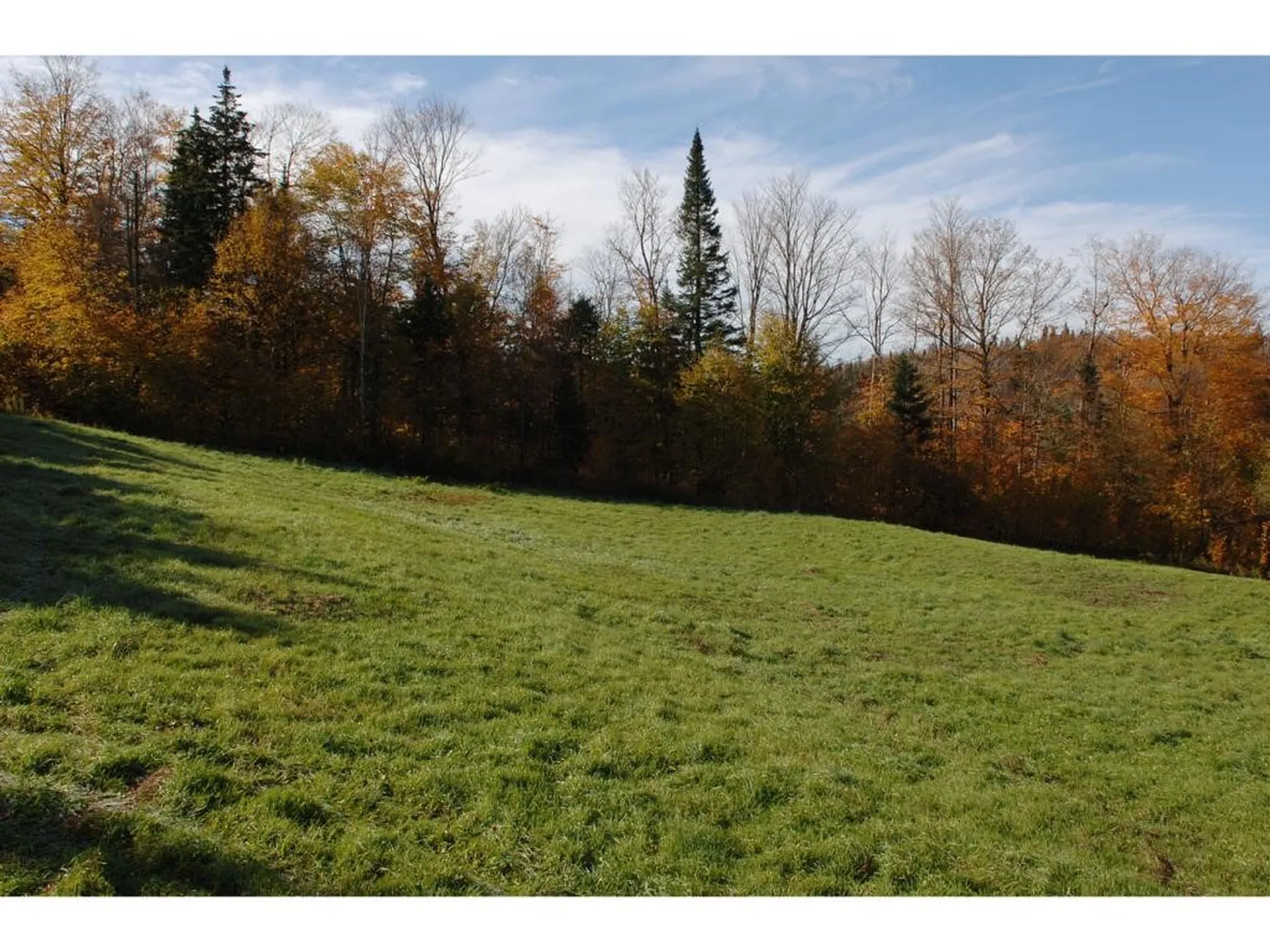 1592 Dexter Mountain Road Glover VT 05839