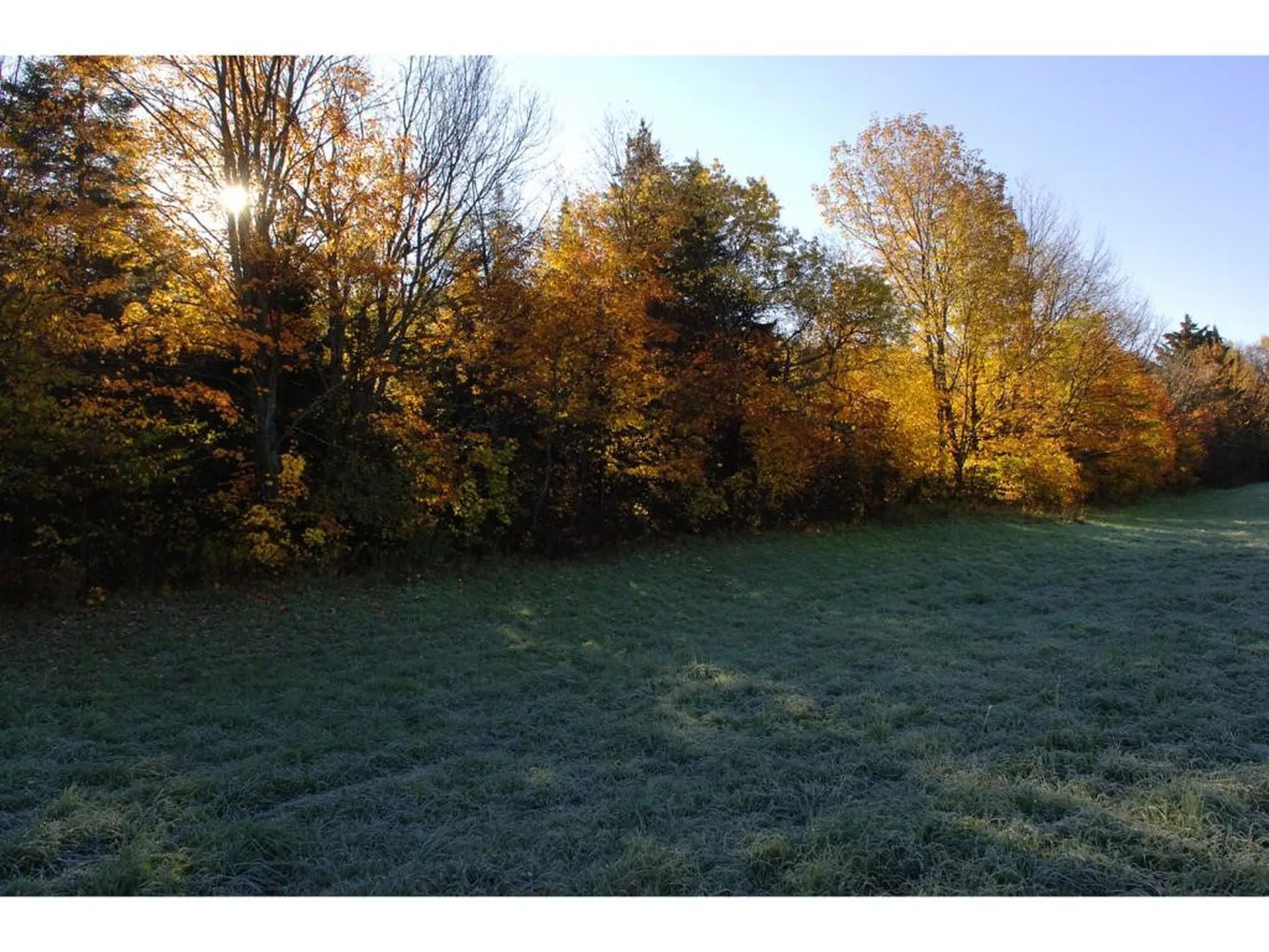 1592 Dexter Mountain Road Glover VT 05839