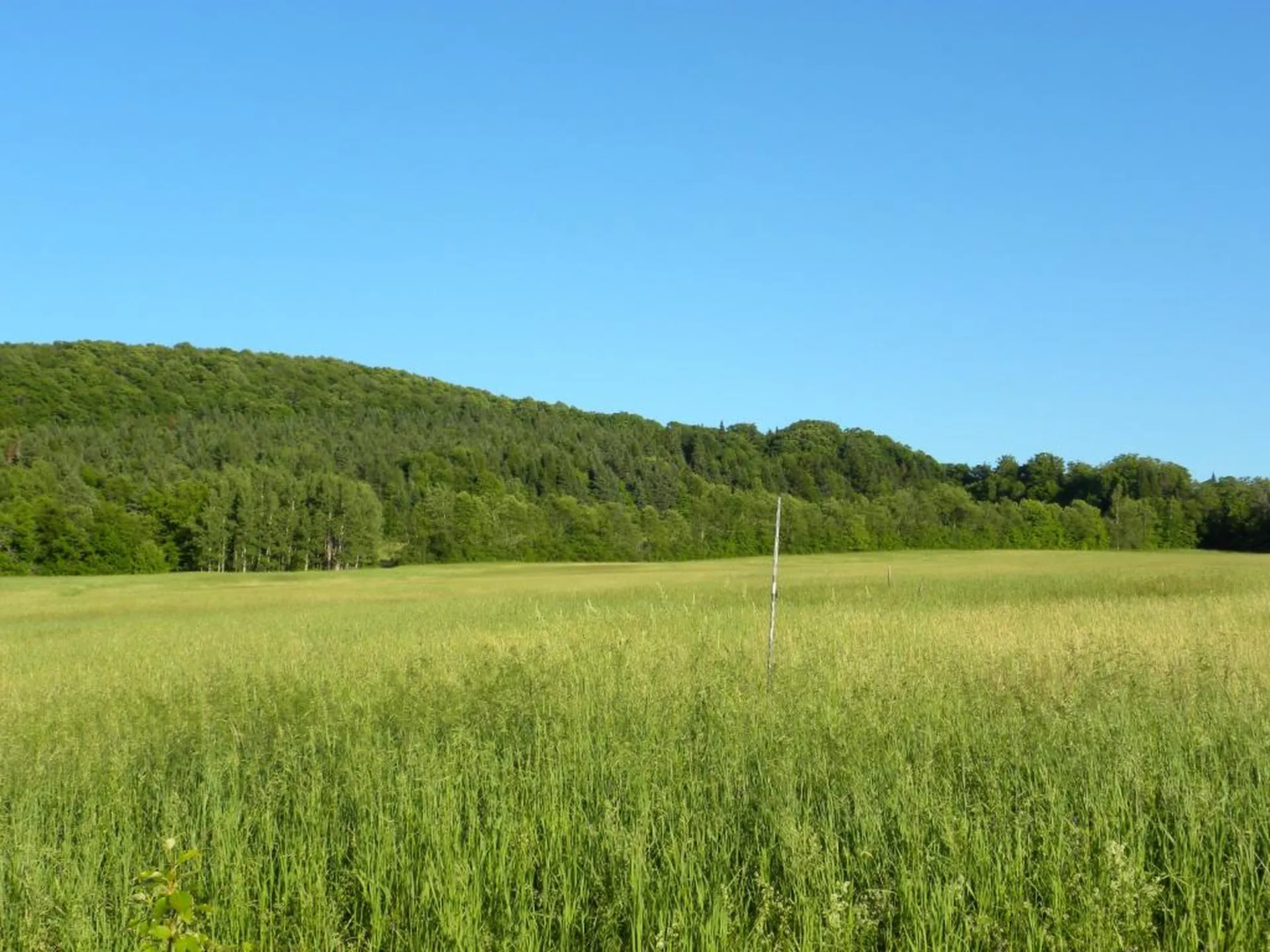 1592 Dexter Mountain Road Glover VT 05839