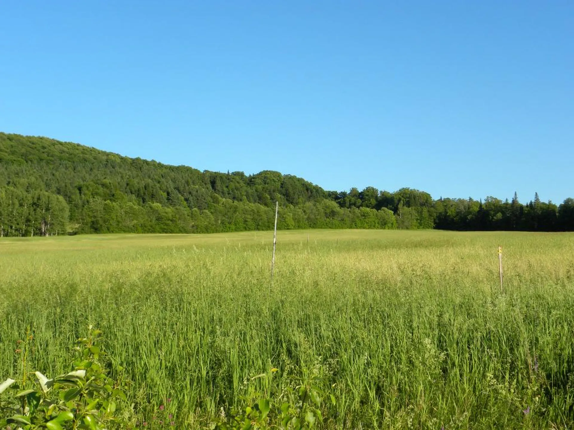 1592 Dexter Mountain Road Glover VT 05839