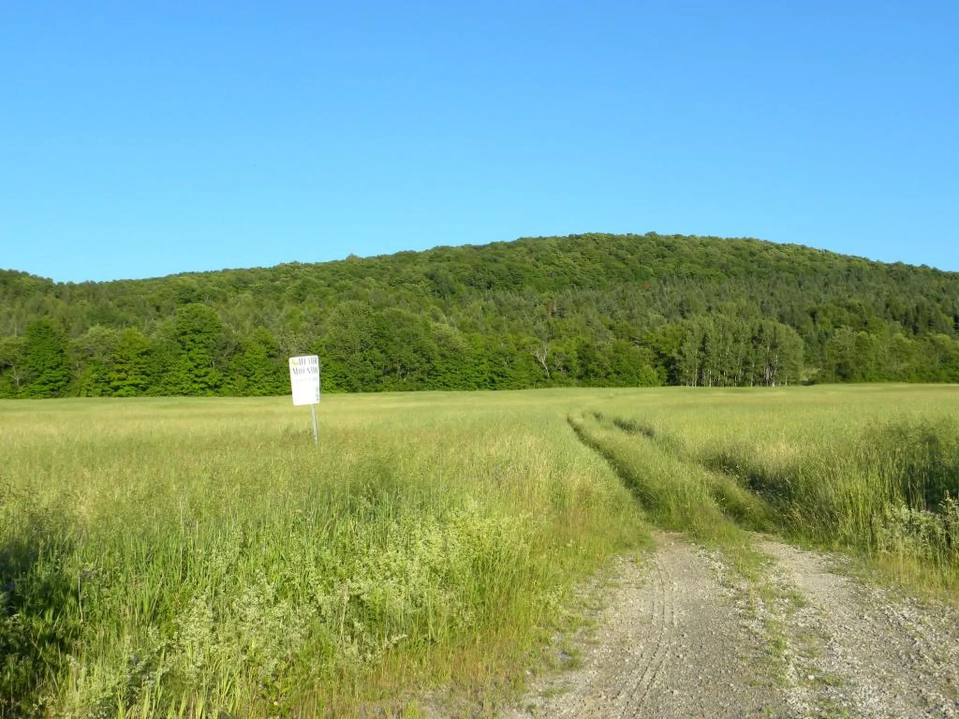 1592 Dexter Mountain Road Glover VT 05839