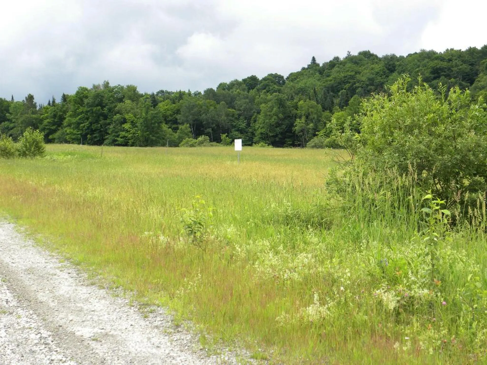 1592 Dexter Mountain Road Glover VT 05839