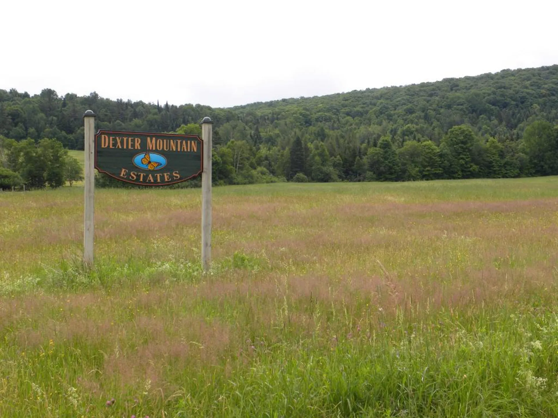 1592 Dexter Mountain Road Glover VT 05839