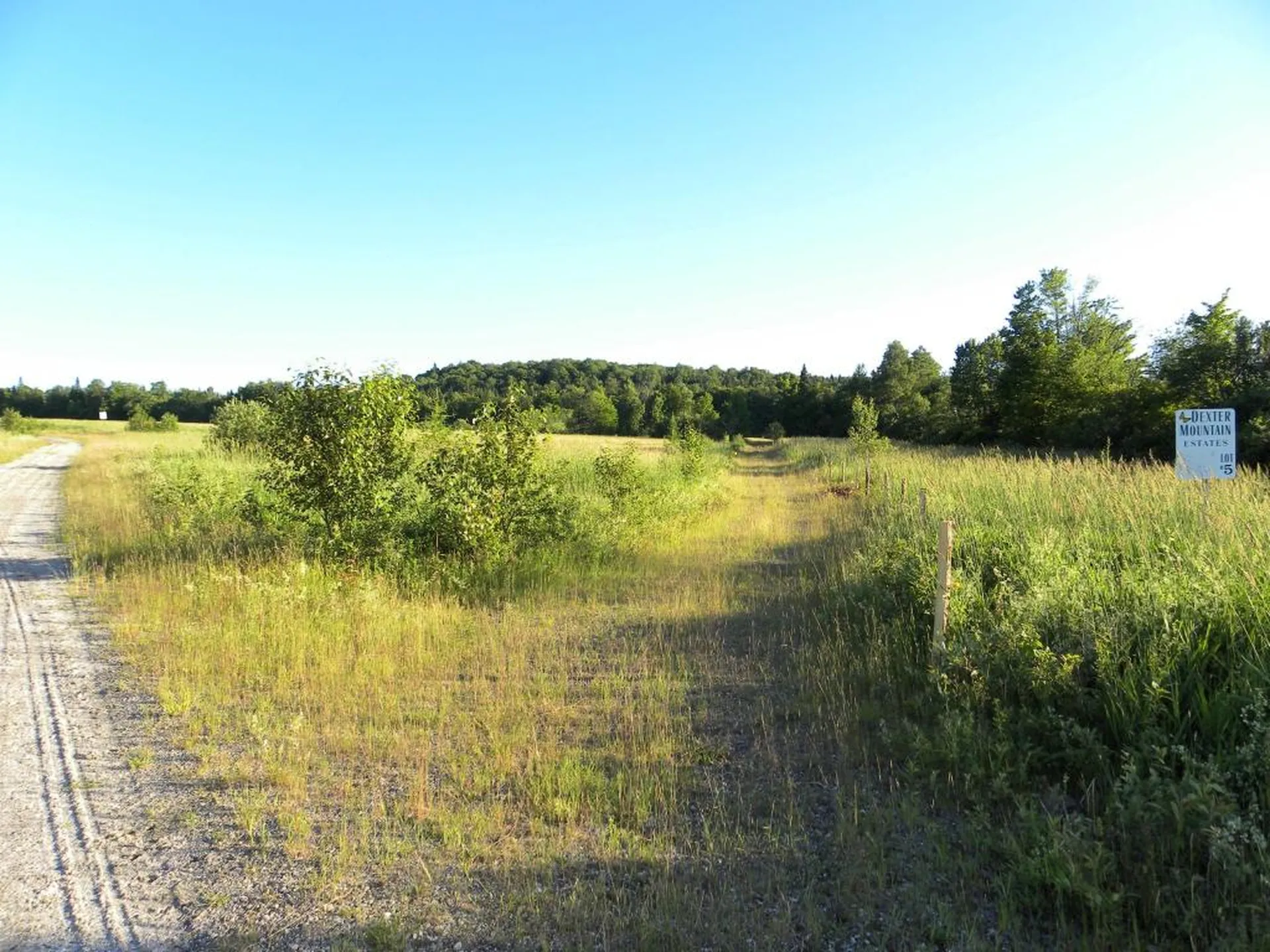 1592 Dexter Mountain Road Glover VT 05839