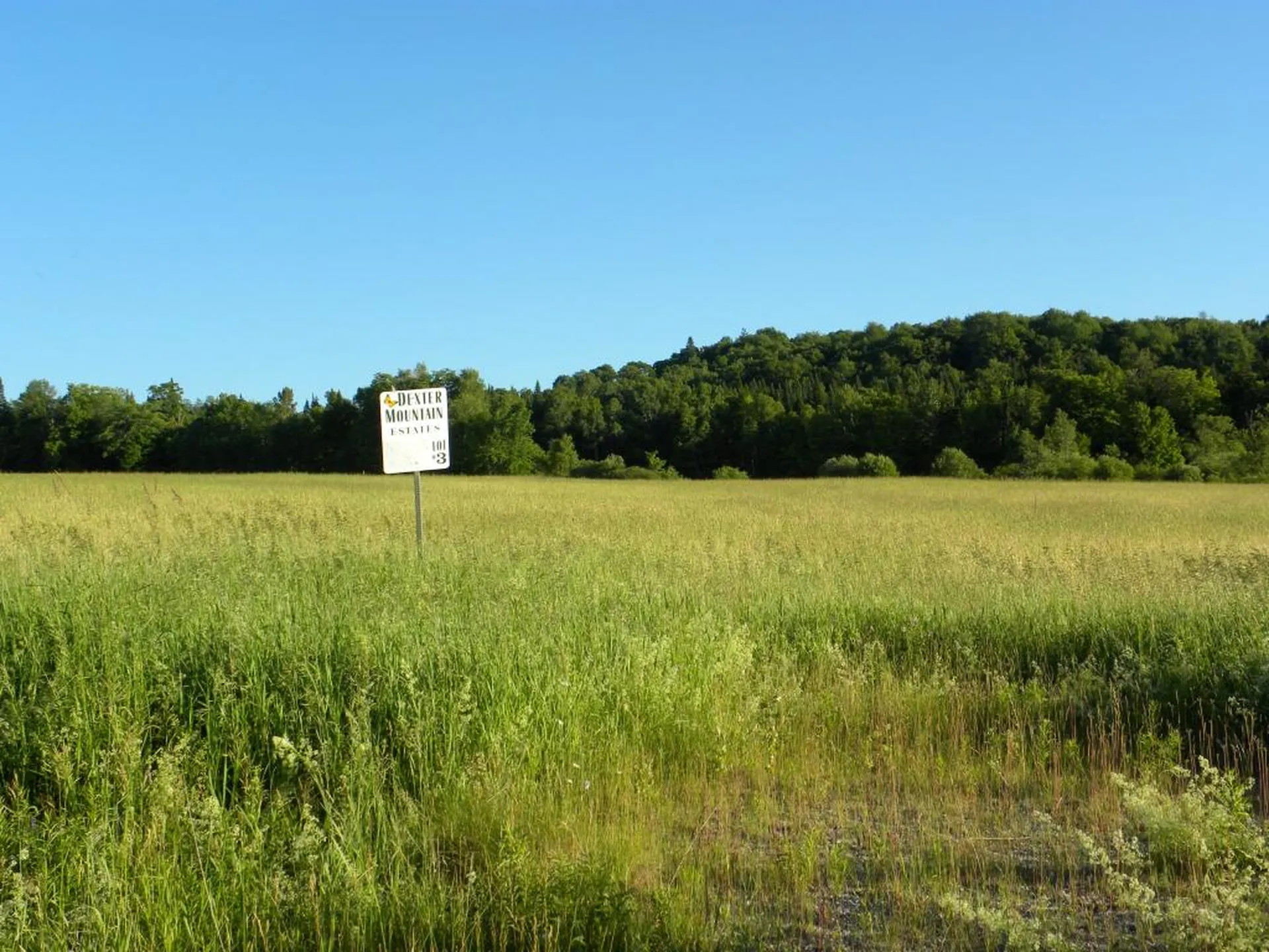 1592 Dexter Mountain Road Glover VT 05839