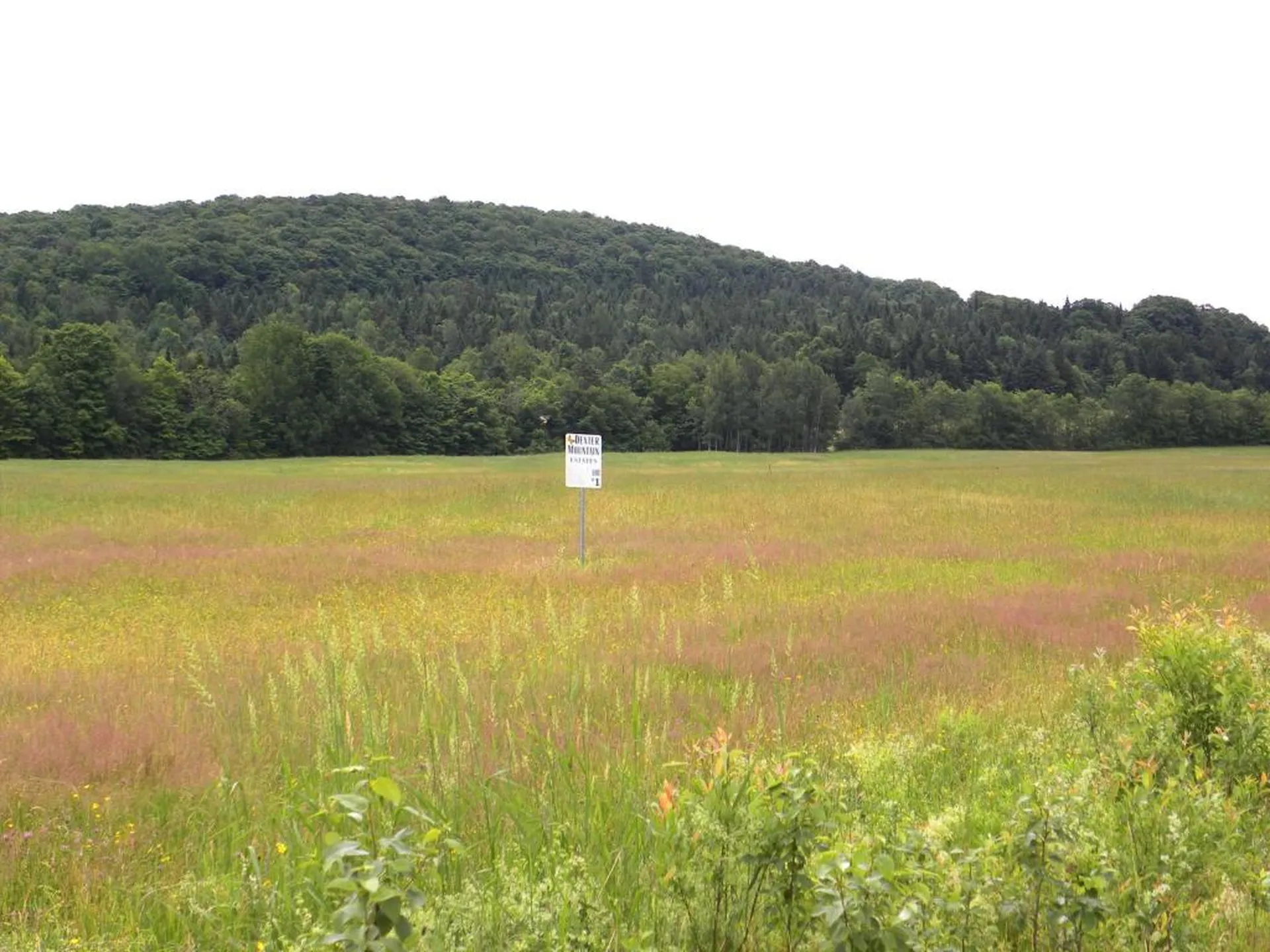 1592 Dexter Mountain Road Glover VT 05839