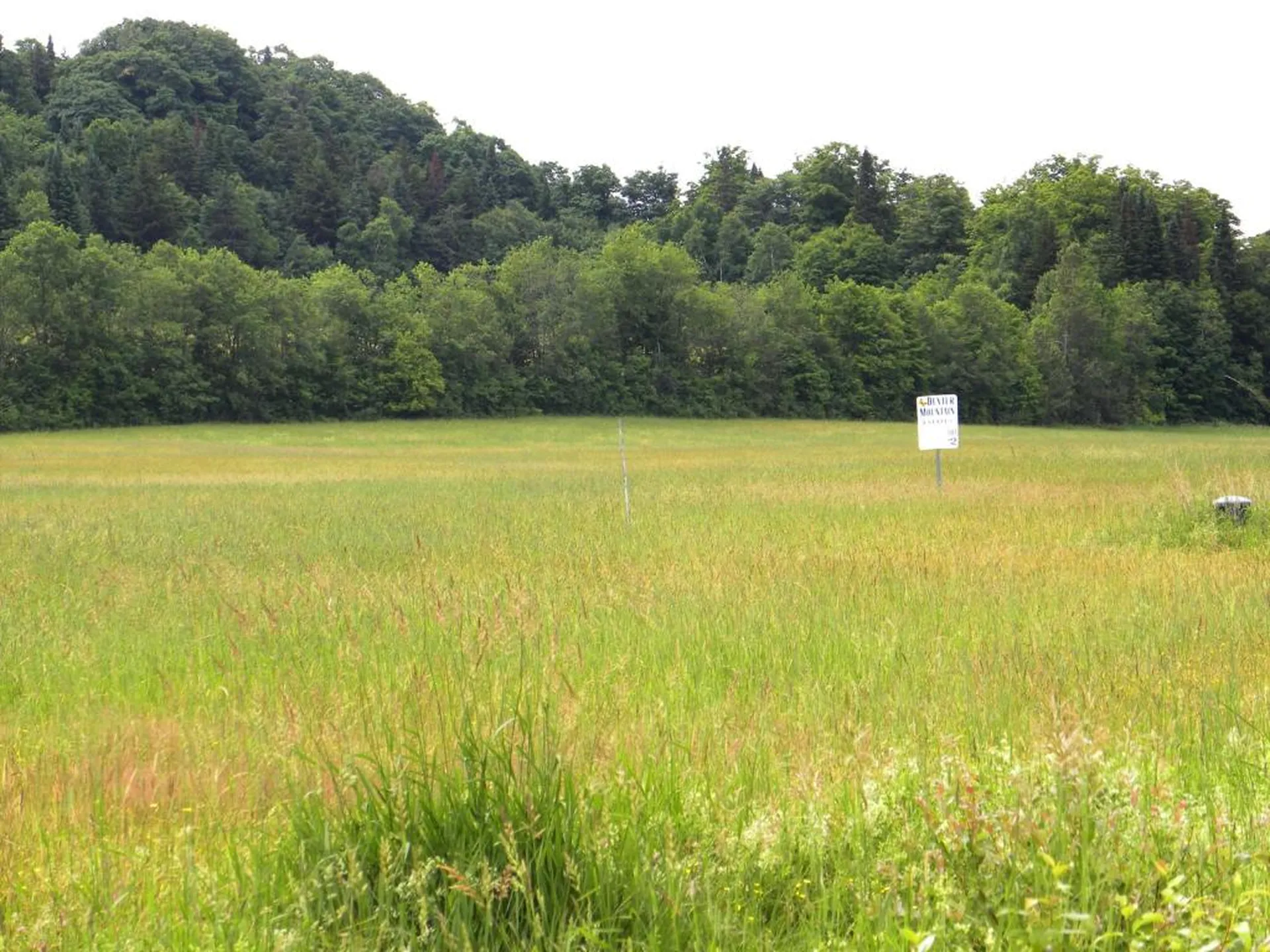 1592 Dexter Mountain Road Glover VT 05839