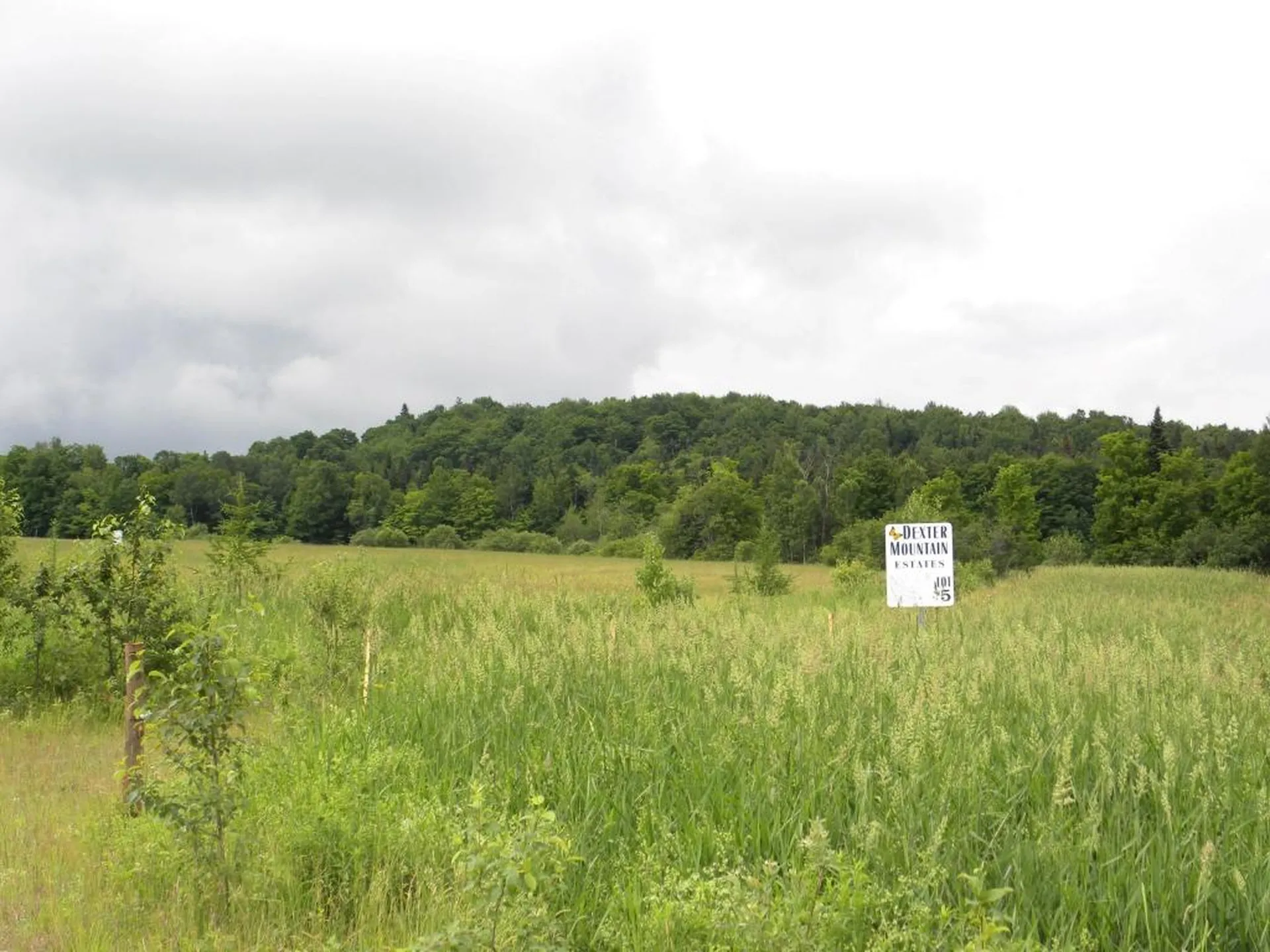 1592 Dexter Mountain Road Glover VT 05839