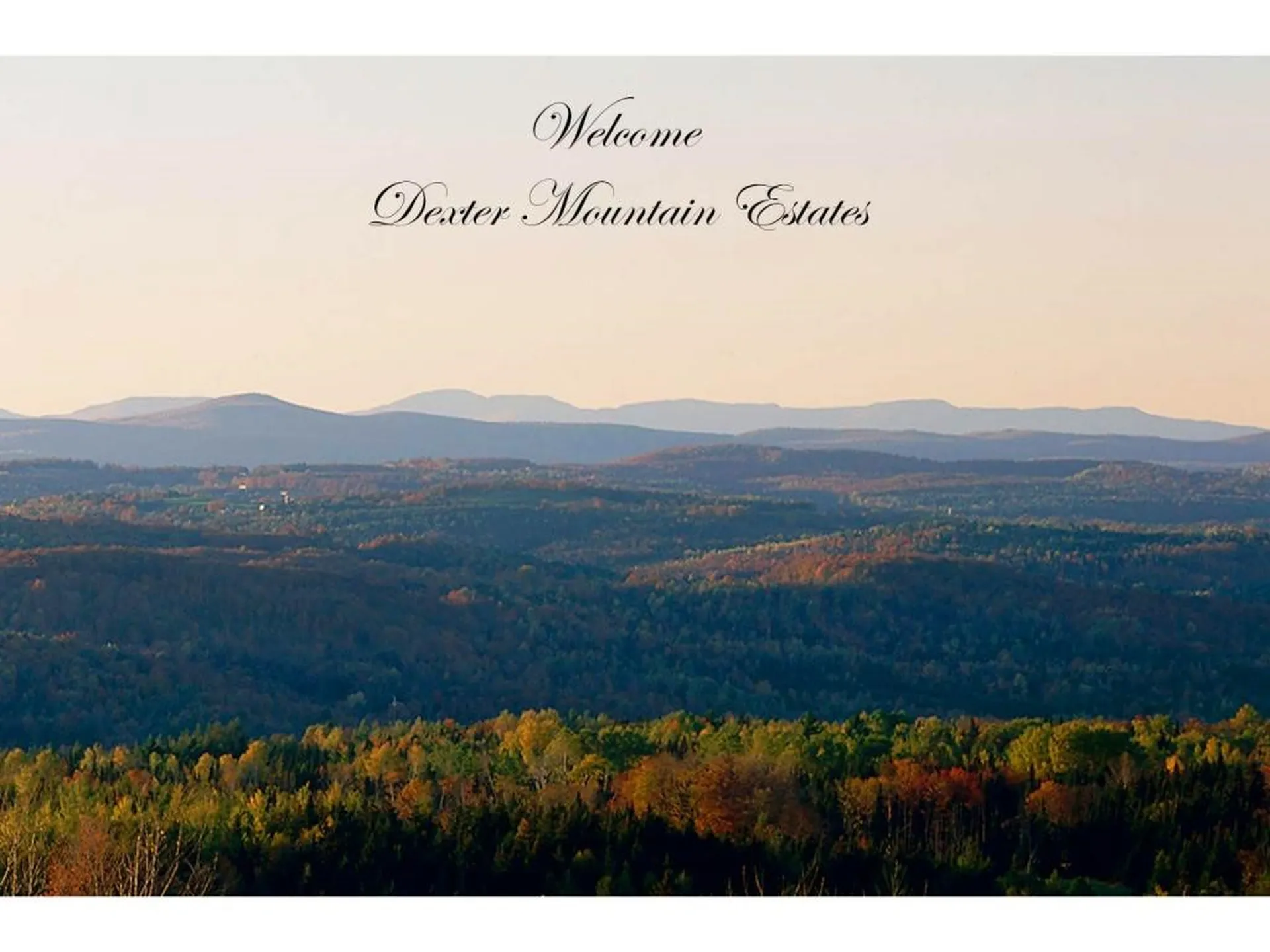 1592 Dexter Mountain Road Glover VT 05839