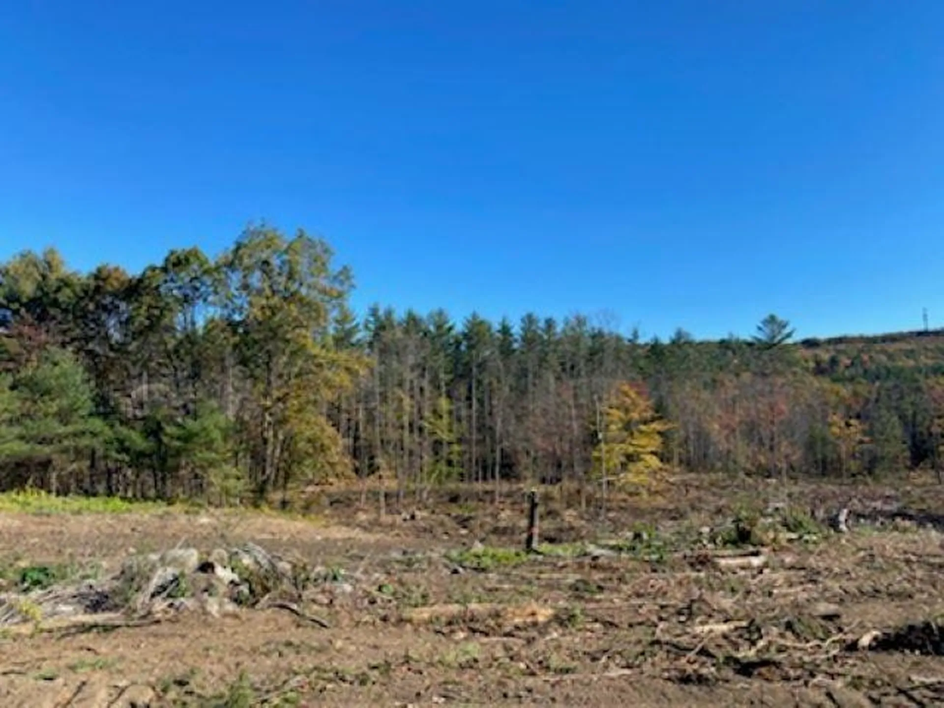 409 Maple Street Hopkinton NH 03229