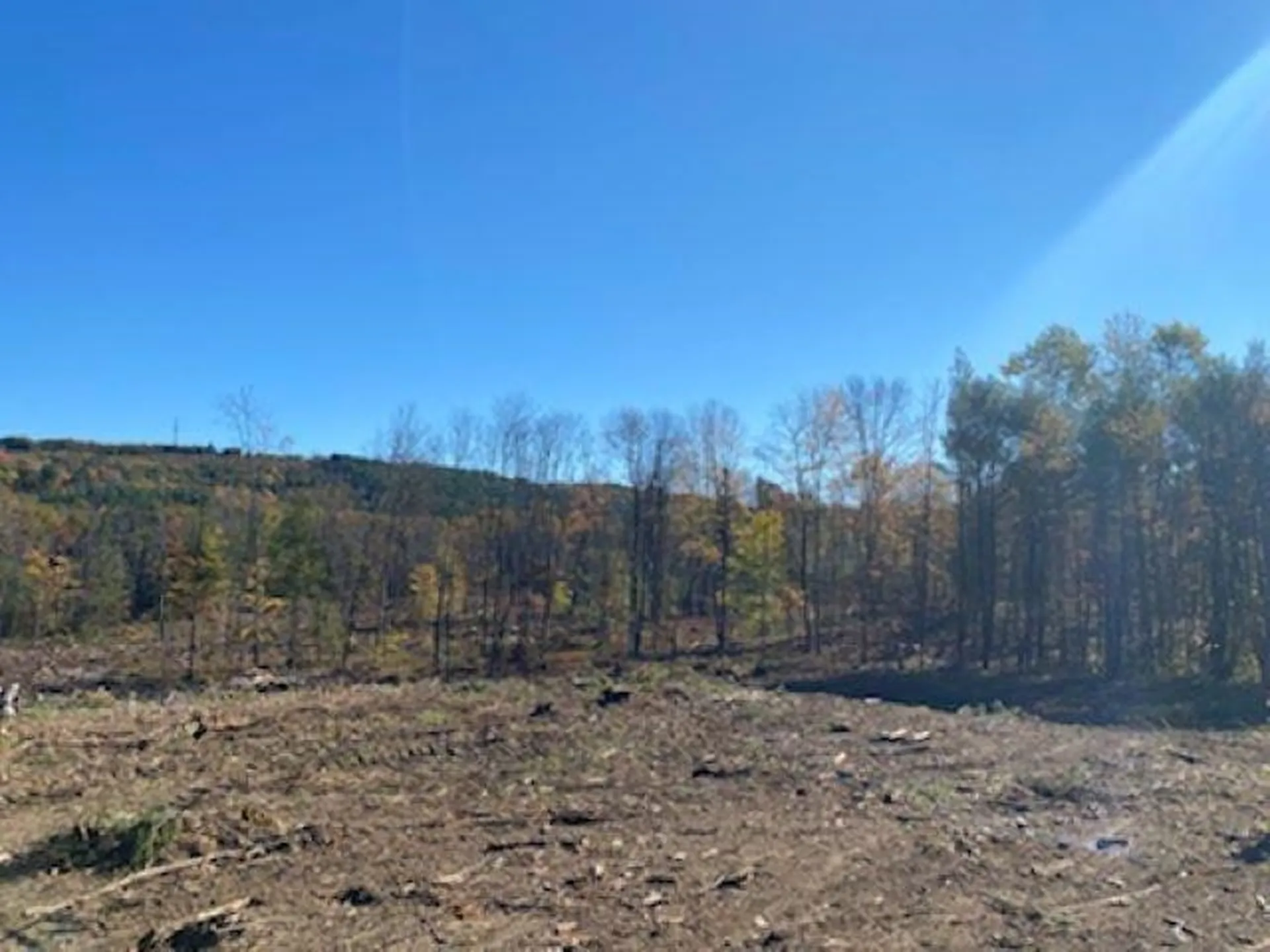 409 Maple Street Hopkinton NH 03229