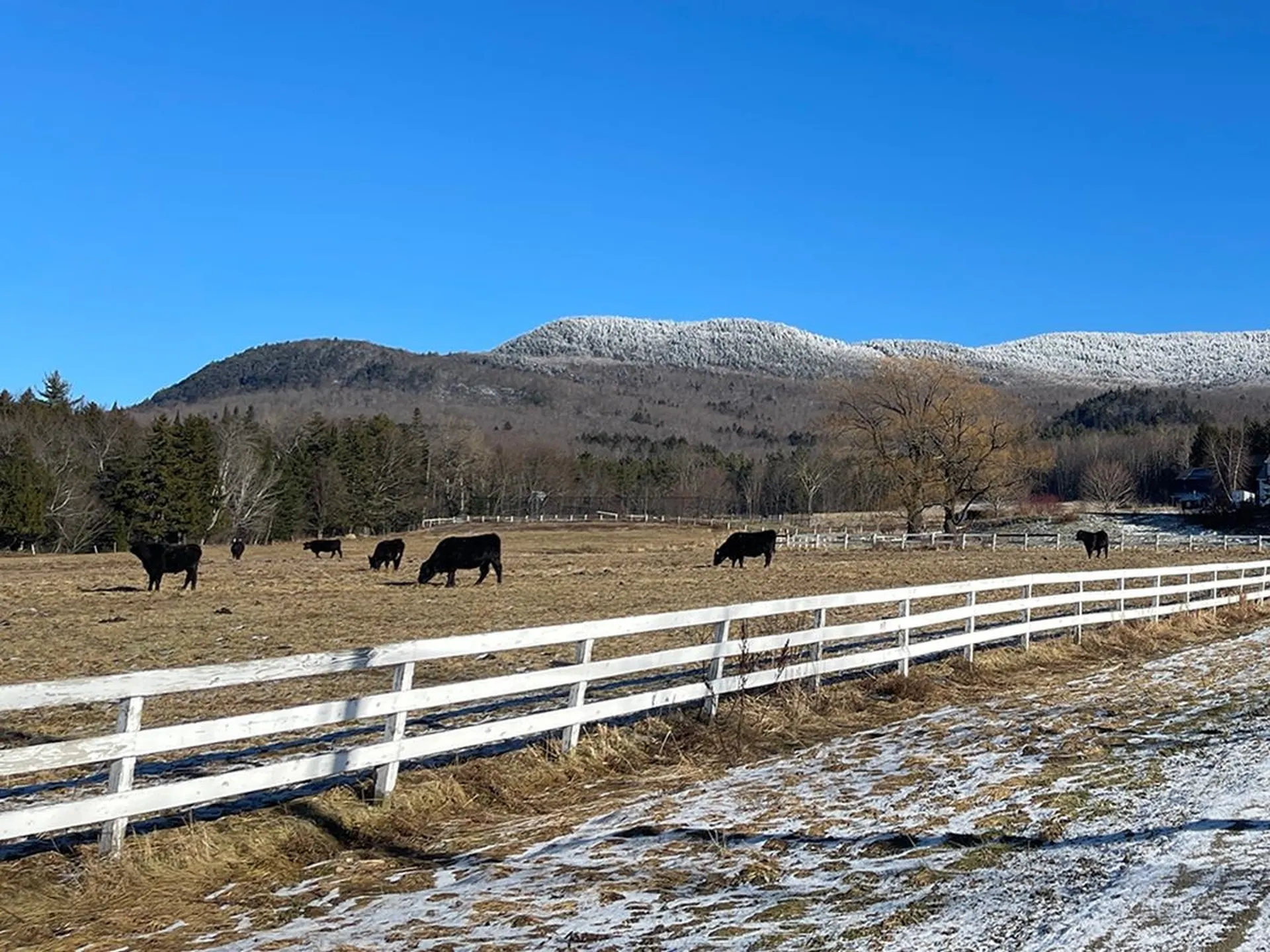 00 Bowen Road Waitsfield VT 05673